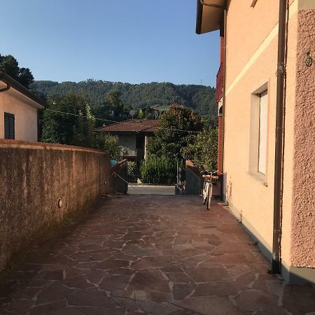 Villa Ester Camaiore Zewnętrze zdjęcie